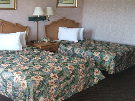 Motel 6 Burlington Phòng bức ảnh